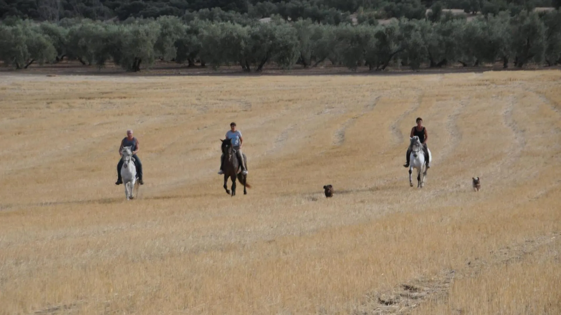 Finca Nolose Iznajar Spain