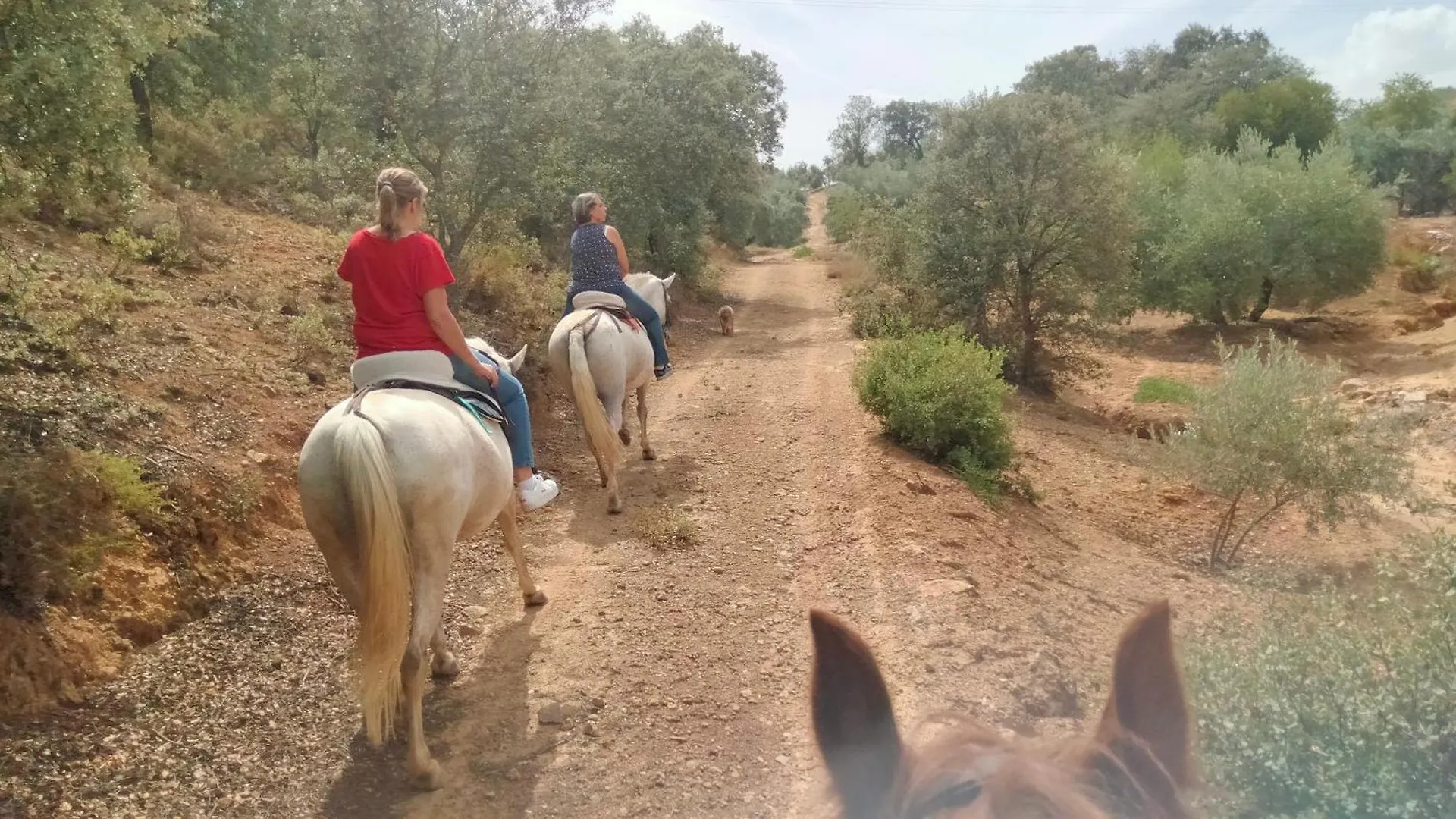 Homestay Finca Nolose Iznajar